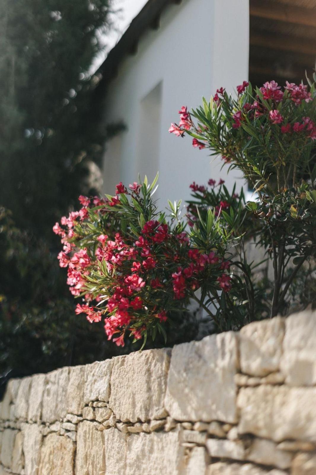 Cecilias Courtyard Guest House Malia Luaran gambar